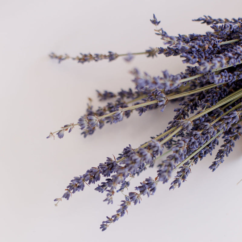 Lavoire Lavender