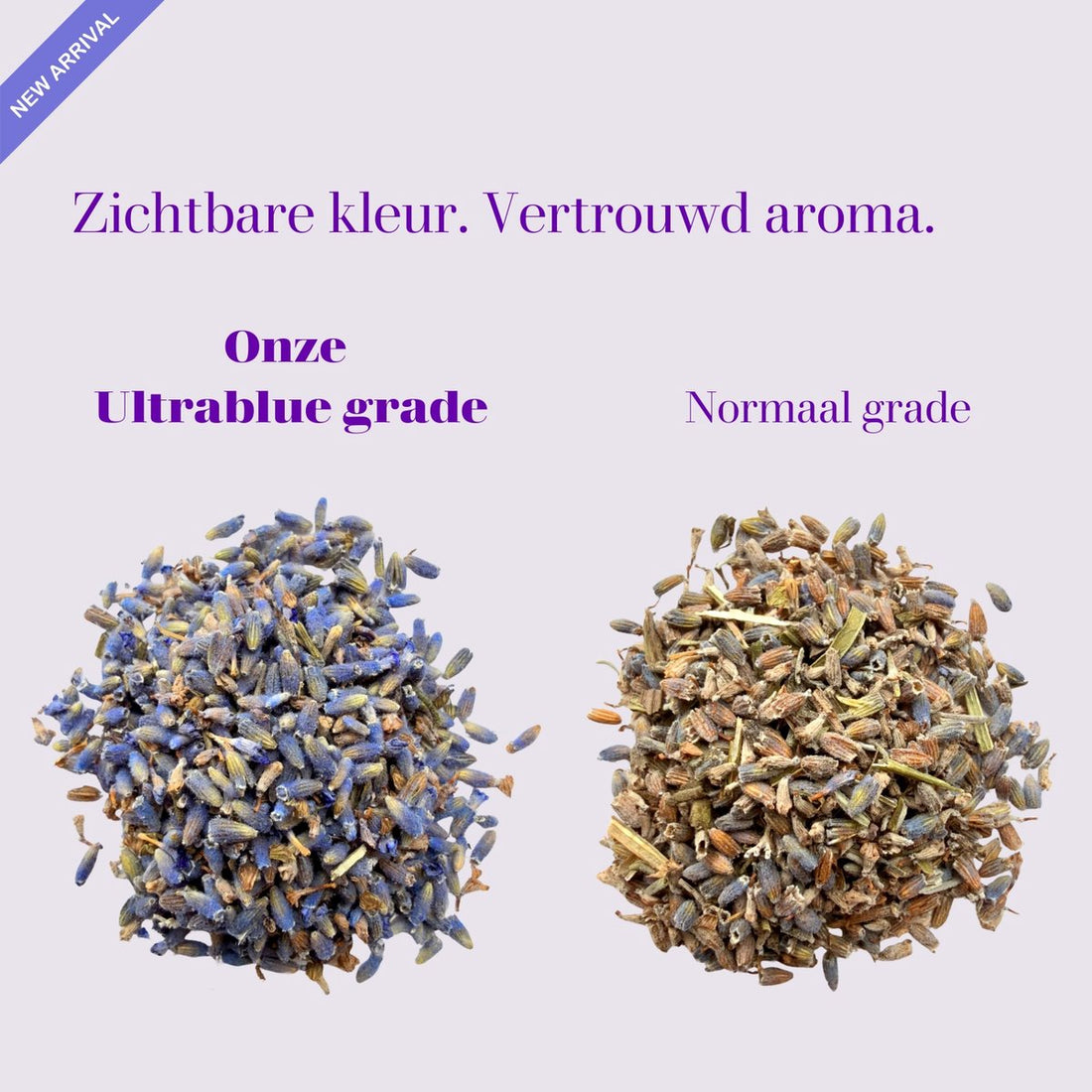 Lavoire Premium Lavender Sachets - Ultra Blue Grade (16 Pack, 96g)