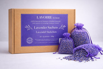Lavoire lavender sachets, pack of 20 × 5 g with kraft box and purple sachets